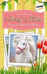 Ein Pony für alle Fälle - Achter Roman: Schwere Zeiten für Marie