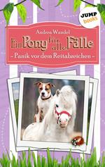 Ein Pony für alle Fälle - Neunter Roman: Panik vor dem Reitabzeichen