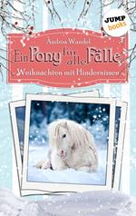 Ein Pony für alle Fälle - Elfter Roman: Weihnachten mit Hindernissen