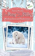 Ein Pony für alle Fälle - Elfter Roman: Weihnachten mit Hindernissen