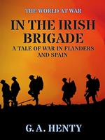 In the Irish Brigade A Tale of War in Flanders and Spain