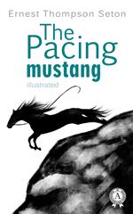 The Pacing mustang