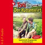 Spannende Begegnung in den Bergen - Toni der Hüttenwirt, Band 371 (ungekürzt)