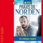 Ein schlimmes Unglück - Die neue Praxis Dr. Norden, Band 39 (ungekürzt)