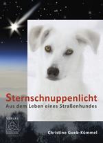 Sternschnuppenlicht