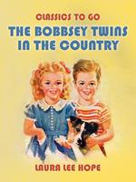 The Bobbsey Twins In The Country