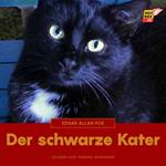 Der schwarze Kater