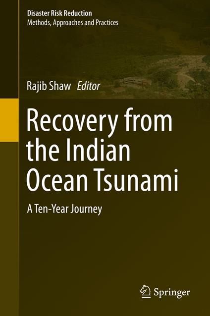 Recovery from the Indian Ocean Tsunami