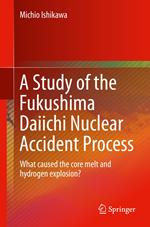 A Study of the Fukushima Daiichi Nuclear Accident Process