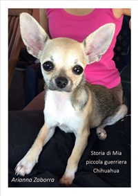 Storia di Mia piccola guerriera Chihuahua - Zaborra, Arianna - Ebook -  EPUB2 con Adobe DRM