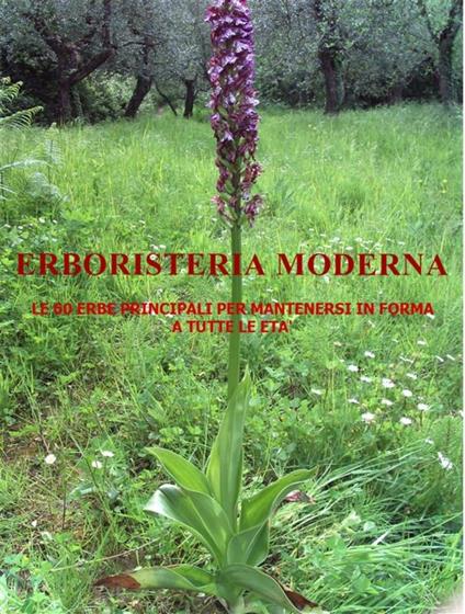 Erboristeria moderna - Marcello Pifferi - ebook