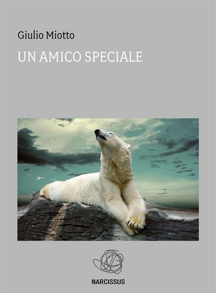 Il mio amico Aran - Miotto Giulio - ebook