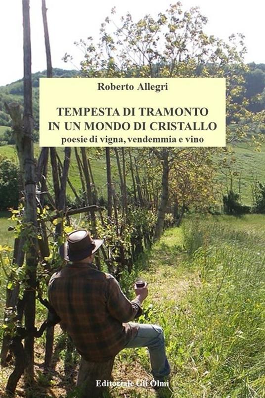 Tempesta di tramonto in un mondo di cristallo - Roberto Allegri - ebook