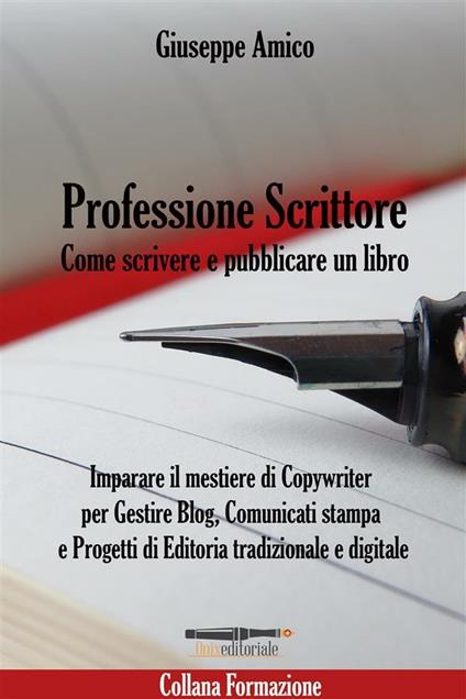 Professione scrittore. Come scrivere e pubblicare un libro. Imparare il mestiere di copywriter per gestire blog, comunicati stampa e progetti di editoria tradizionale e digitale - Giuseppe Amico - ebook