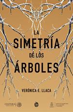 La simetría de los árboles