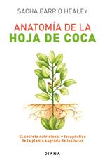 Anatomía de la hoja de coca