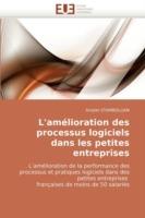 L'Amelioration Des Processus Logiciels Dans Les Petites Entreprises