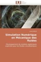 Simulation Numerique En Mecanique Des Fluides