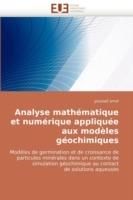 Analyse Mathematique Et Numerique Appliquee Aux Modeles Geochimiques