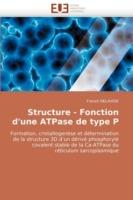 Structure - Fonction D'Une Atpase de Type P