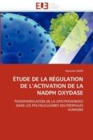 tude de la R gulation de l''activation de la Nadph Oxydase