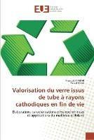 Valorisation Du Verre Issus de Tube A Rayons Cathodiques En Fin de Vie