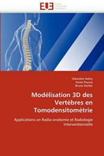 Mod lisation 3D Des Vert bres En Tomodensitom trie