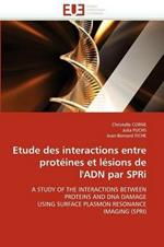 Etude Des Interactions Entre Prot ines Et L sions de l''adn Par Spri