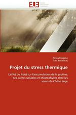 Projet Du Stress Thermique