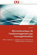 Microm canique de l''endommagement Par Homog n isation