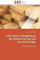 Valorisation energetiques des dechets de bois par pyrolyse etagee