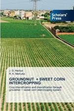 Groundnut + Sweet Corn Intercropping