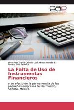 La Falta de Uso de Instrumentos Financieros