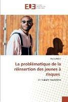 La problematique de la reinsertion des jeunes a risques