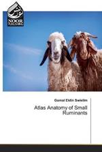 Atlas Anatomy of Small Ruminants