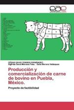 Produccion y comercializacion de carne de bovino en Puebla, Mexico.