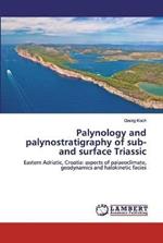 Palynology and palynostratigraphy of sub- and surface Triassic