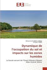 Dynamique de l'occupation du sol et impacts sur les zones humides