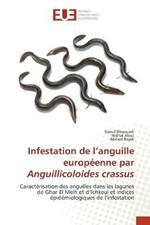Infestation de l'anguille europeenne par Anguillicoloides crassus
