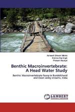 Benthic Macroinvertebrate: A Head Water Study