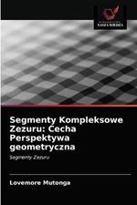 Segmenty Kompleksowe Zezuru: Cecha Perspektywa geometryczna