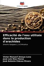 Efficacite de l'eau utilisee dans la production d'arachides