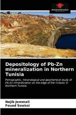 Depositology of Pb-Zn mineralization in Northern Tunisia