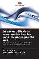 Enjeux et defis de la selection des besoins dans les grands projets Web