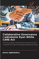 Collaborative Governance i wdrozenie Ryan White CARE Act