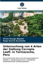 Untersuchung von 4 Arten der Gattung Cecropia Loefl. in Yarinacocha, Peru