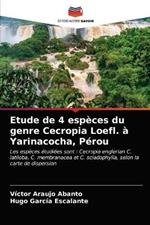 Etude de 4 especes du genre Cecropia Loefl. a Yarinacocha, Perou