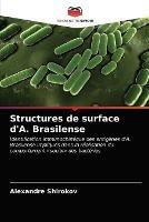 Structures de surface d'A. Brasilense