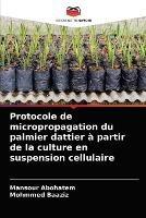 Protocole de micropropagation du palmier dattier a partir de la culture en suspension cellulaire