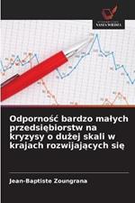 Odpornosc bardzo malych przedsiebiorstw na kryzysy o duzej skali w krajach rozwijajacych sie